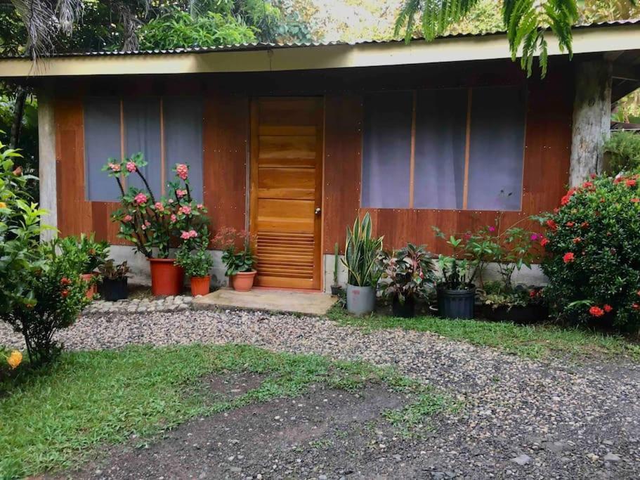 Casa Sol Puerto Jiménez Exterior foto